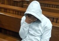 South African man who stabbed his mother to death and chopped her body into pieces, sentenced to indefinite imprisonment