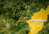 Gunmen Invade Three Communities In Adamawa