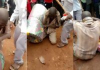 Young man apprehended by a snake after stealing a mattress