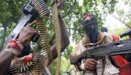 2019 election: N-Delta militants give Buhari their ‘shopping list’