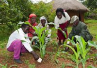 Cheap fertiliser hitch hits farmers