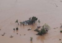 Mozambicans scramble to save themselves after cyclone Idai